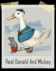 The Real Donald And Mickey T-Shirt