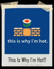 This is Why I'm Hot Mario Bros. Fire Flower T Shirt