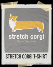 Stretch Corgi T-Shirt
