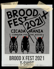 Brood X Fest 2021 T-Shirt
